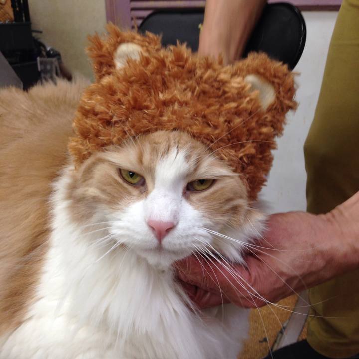 F58513ed 3712 4cdc 8584 06a9e2e09201