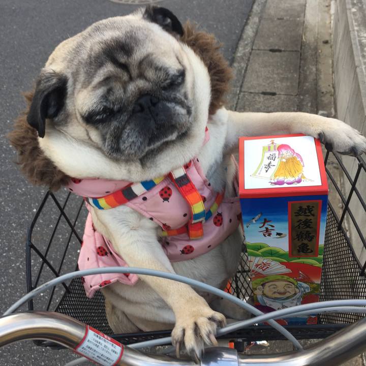 F5856ee9 31f8 4419 a2dc b93d9cdac0e3