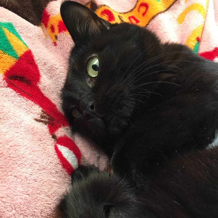 F585ef35 db79 4b58 bca5 b41820e9c6b5