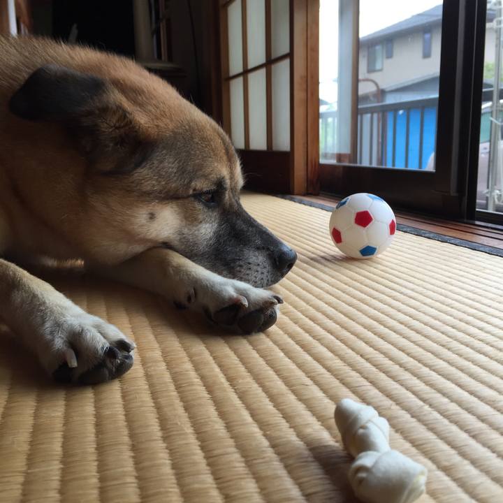 F585fc1f 2747 4b67 bc26 ed7800bcfd32