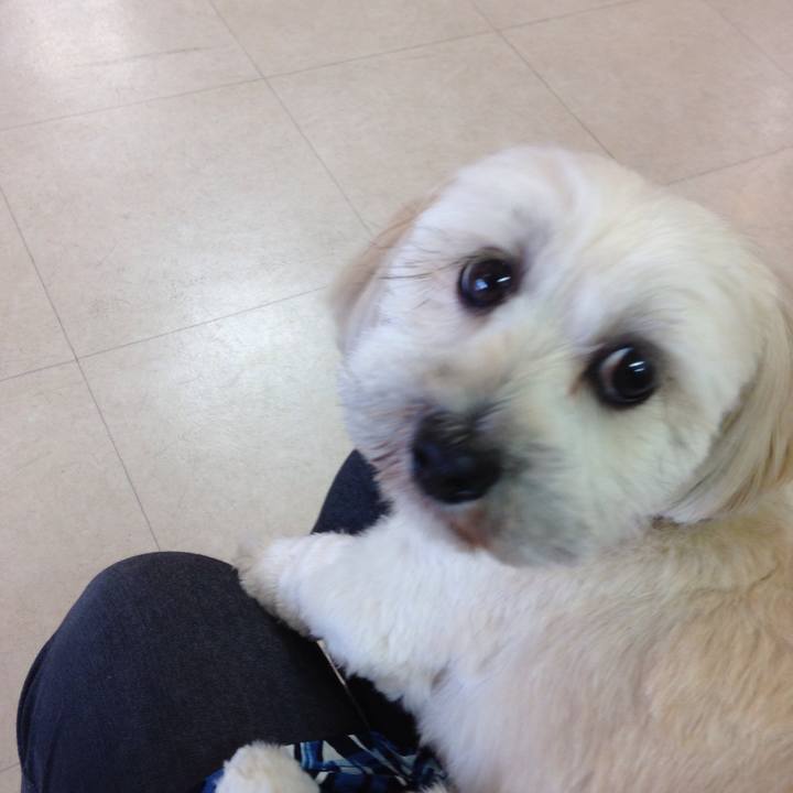 F5860911 5143 48f1 9abd e7ee49512bb5