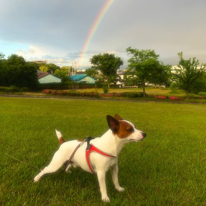 F58611f2 5cbc 4945 b21f 2c12fe3195ad