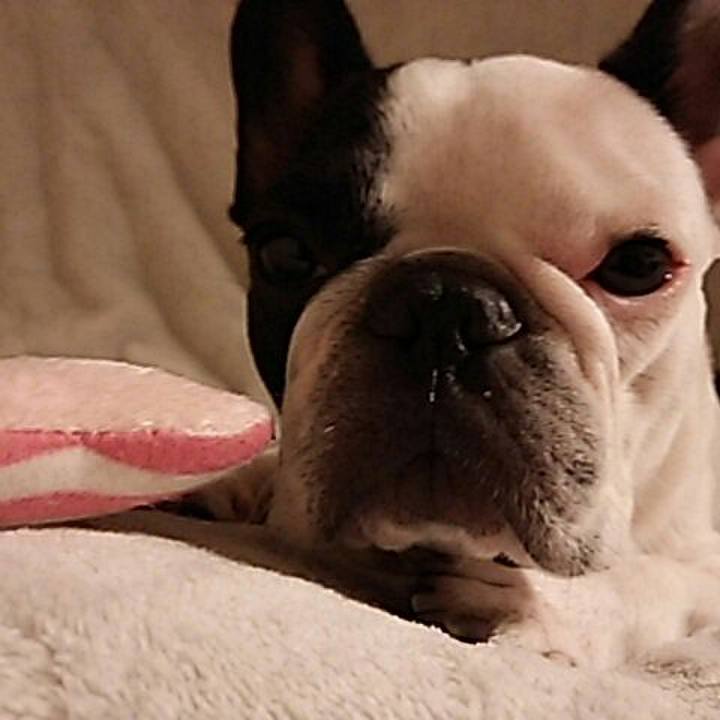 F586431f 66e7 45d6 a05e e86c6e6d9090