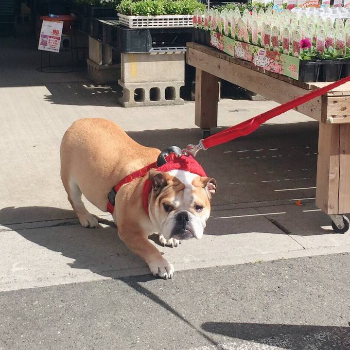 F58649ac 6b0b 4d96 b873 89515005dca3