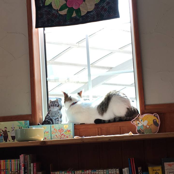 F586ae31 15de 4f19 b7d6 b44bb3357ae2