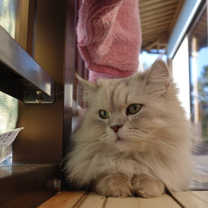 F586c1ce e8ae 4307 bac4 0e22e47a8c66