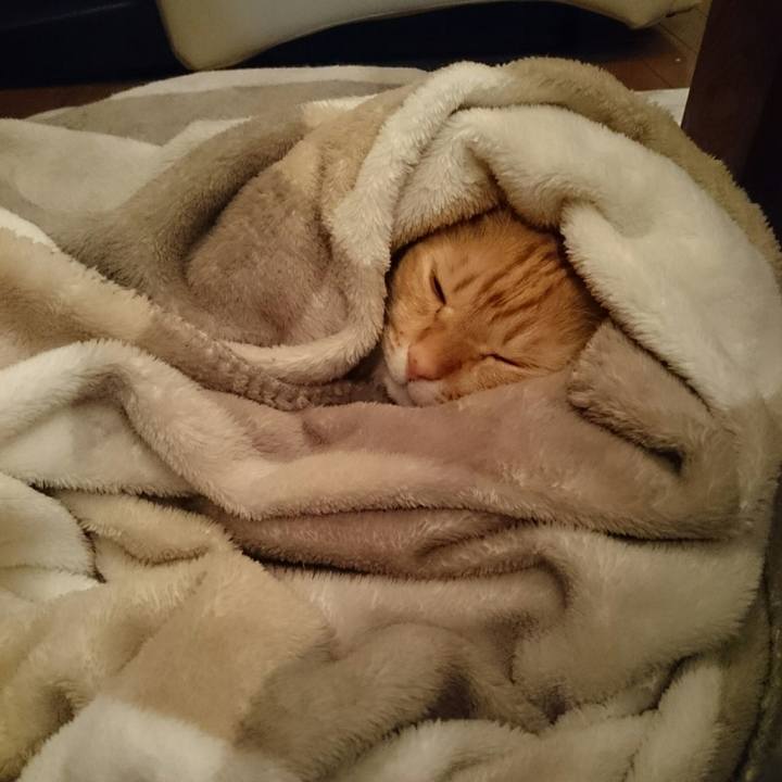 F586db4f b11a 4da5 b7fc 3c25488d9829