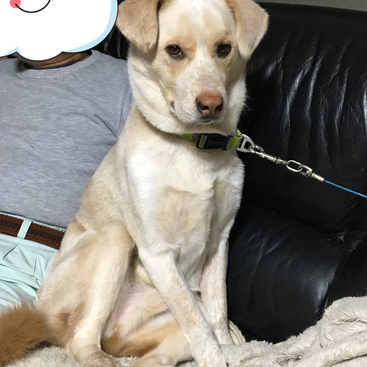 F5875c3f 195a 4e23 afc8 d0bdd31e399a