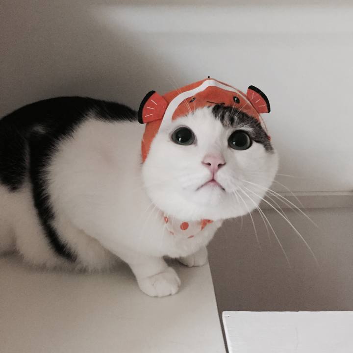 F587f481 14f1 46e9 b8d0 d76344f379a7