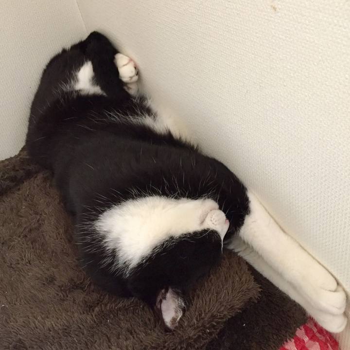 F5887afa a459 4854 9f2c 2f3d6461bce2