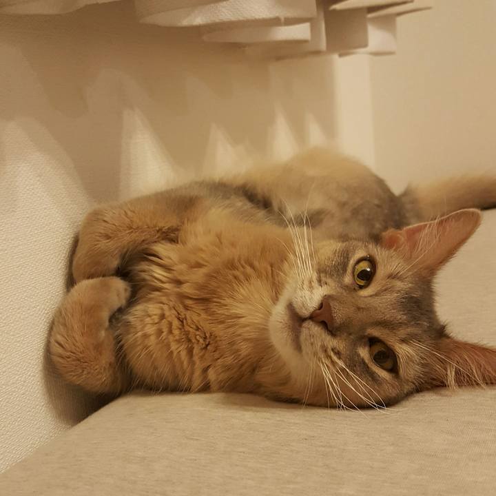 F5889b6c 2225 470d 8edf 3e1b23bc366b