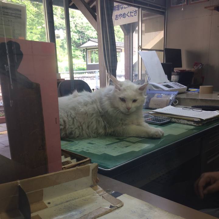 F588d7db 73fa 44e7 8196 068fcefcb3d5