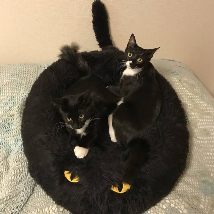 F588f7fb e73d 47d4 9d34 2a0f7a542181