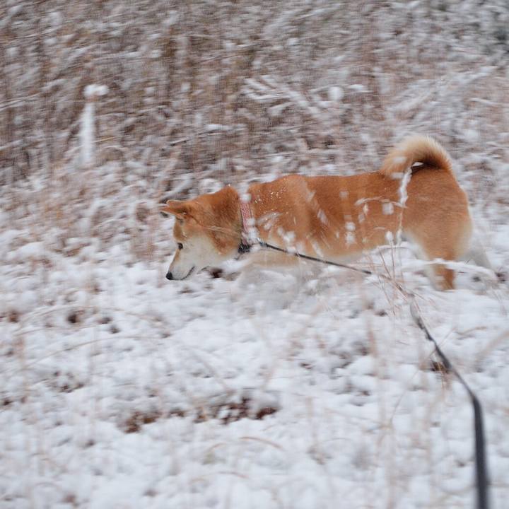 F5894bb4 ce4f 4092 b91c a16309d17c16