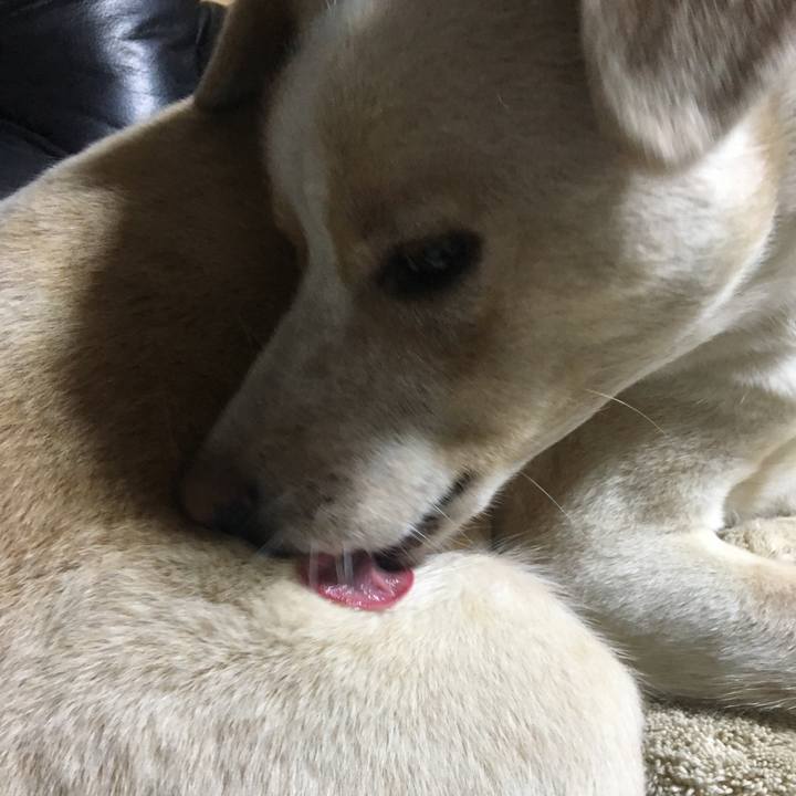 F5896ac2 4a7d 4a90 a211 44f5a2426a14