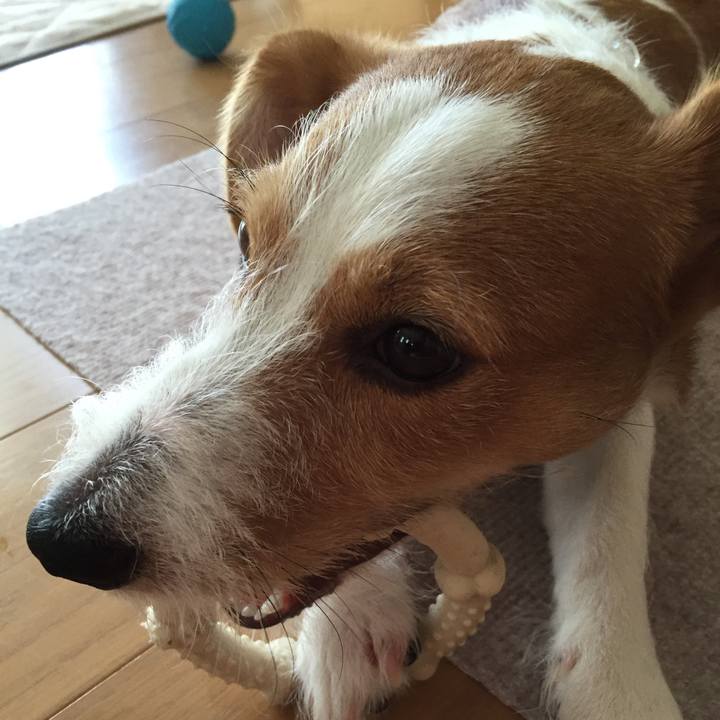 F58ad43a bdc4 405a 9dc1 114c2261cf58