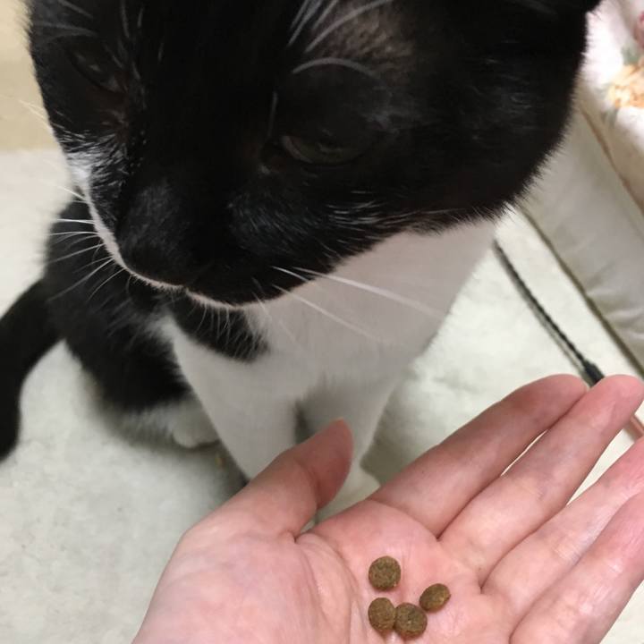 F58b3d7e 71d4 4414 b791 0cd669762aaa