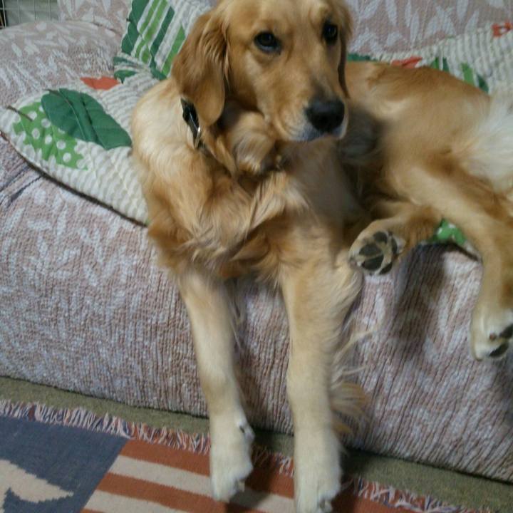 F58b662b 5e67 4e74 8d3e f35c686f15fc