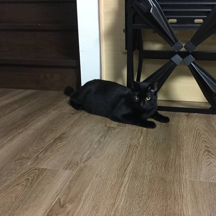 F58ba713 60b4 4379 8b4a f5fc3eb156d3