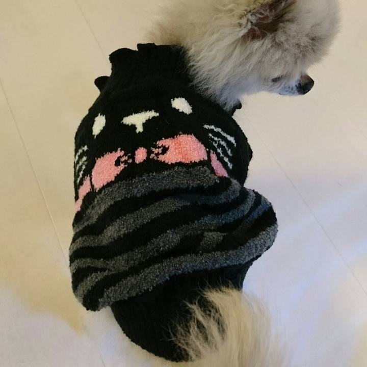 F58bf3df bfe2 4430 bba7 374974932362