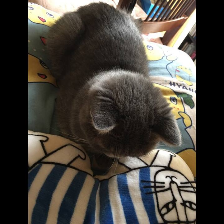 F58c17d3 c5c4 43ef af34 2b3f37b50829