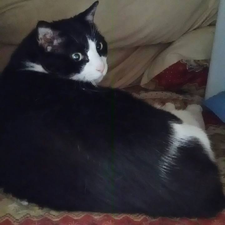 F58c8018 8d0c 41e9 80d4 dd4d4e03186a