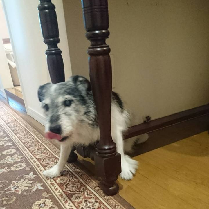 F58c99af 595f 4e16 a2b0 f1825091ece2