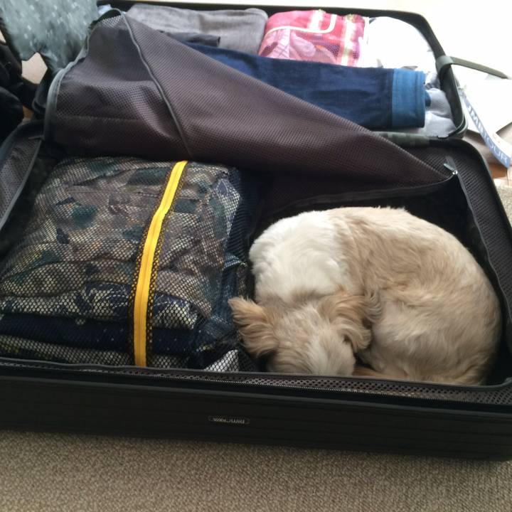 F58d4779 cb52 43ae 9a4b 4a932f1806ab