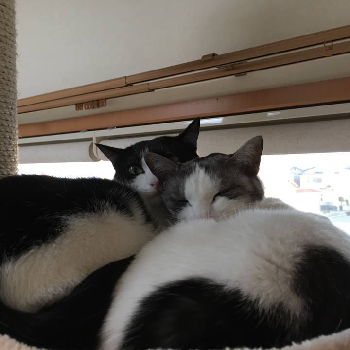 F58dfe13 e30a 44e9 89ad a20878d14563