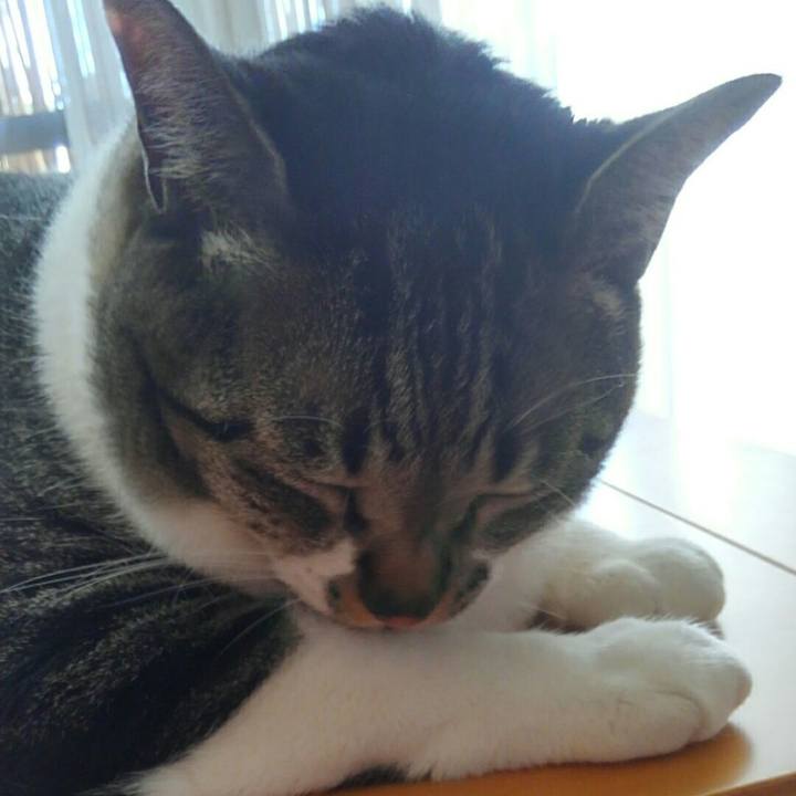 F58f59f3 c51a 49ce 8fbc 5dbef45711af