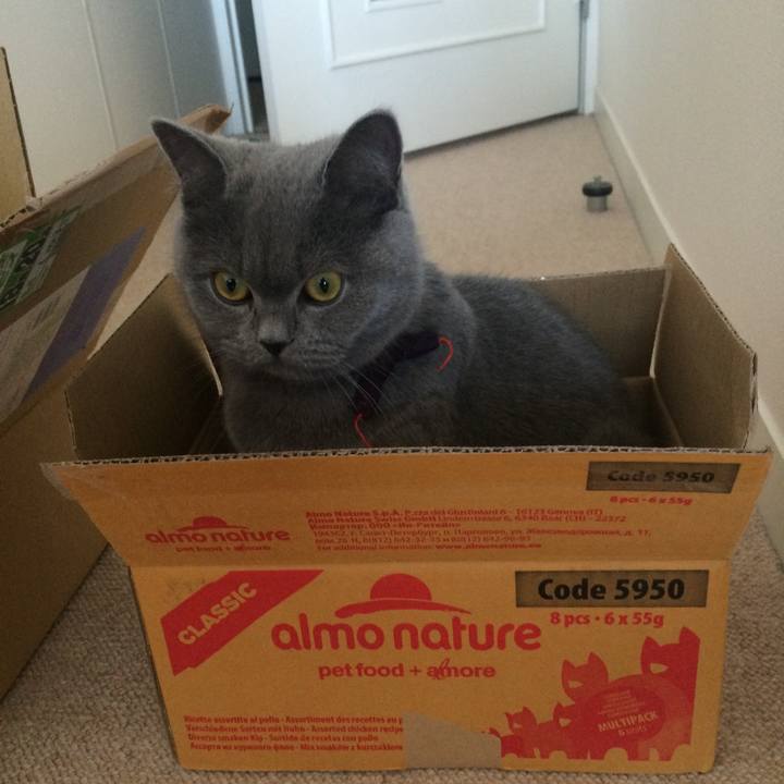 F58fa4df d583 4b94 8fa2 4f910c45b3e5