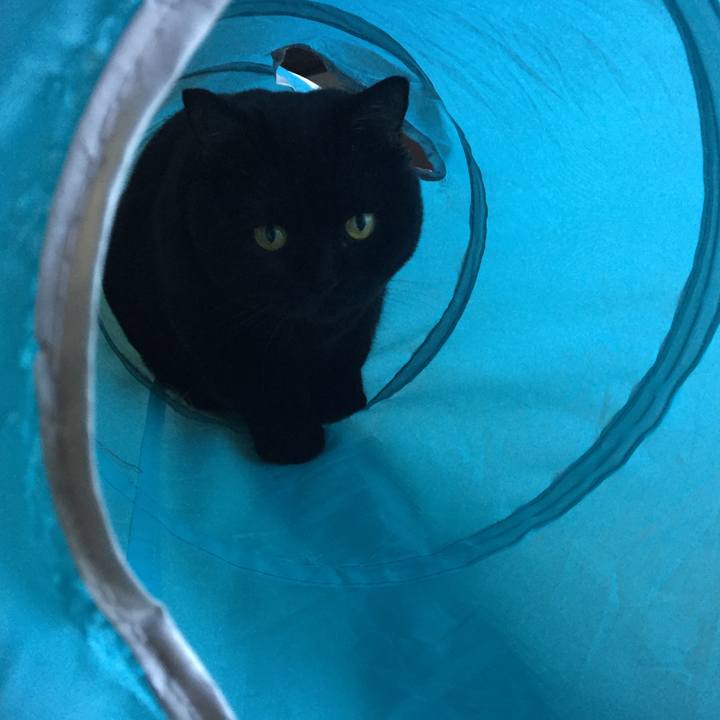 F5900919 57ce 420c 889c d4f3edea50c1