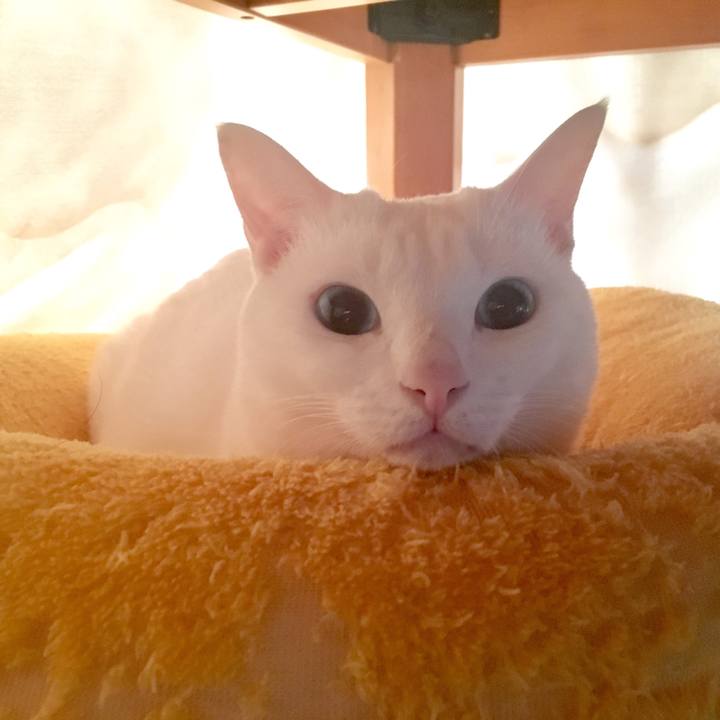 F5900f1e 7e42 4ed9 a0b5 9cdc7df1fb83