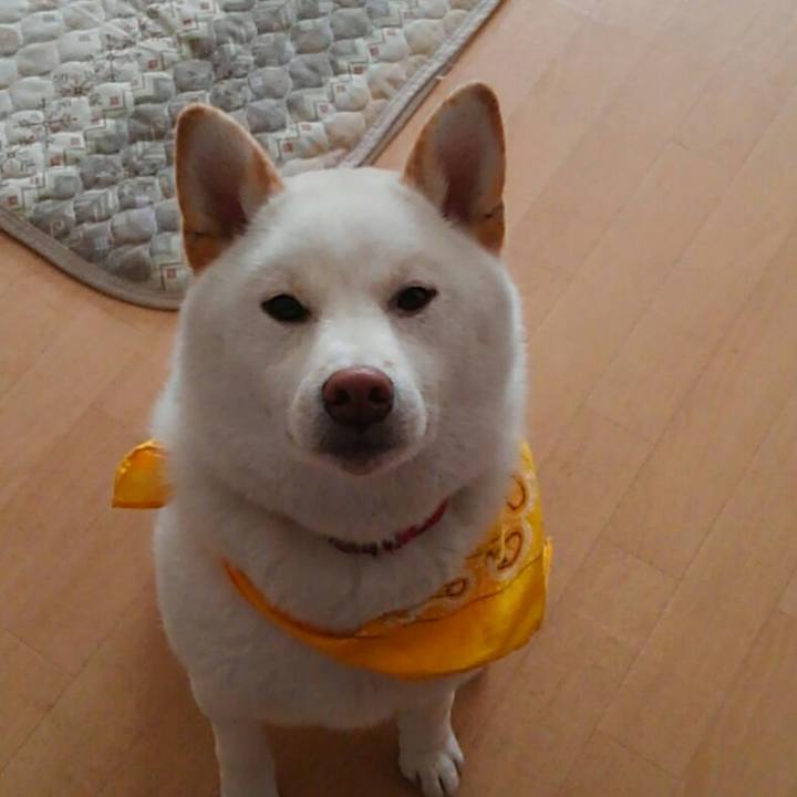 F5907465 efcc 48c9 9f0a 63594b53597a