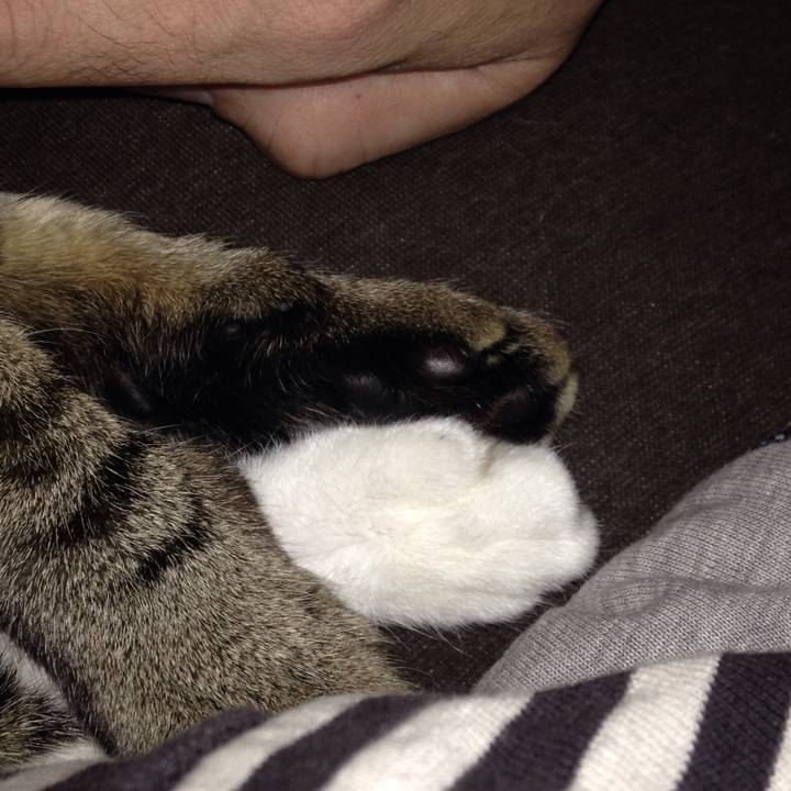 F5911f6d a8f9 4013 8580 80044e874d88