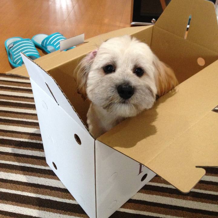 F592377f 12bb 4de4 bed3 3ae77926ee8e