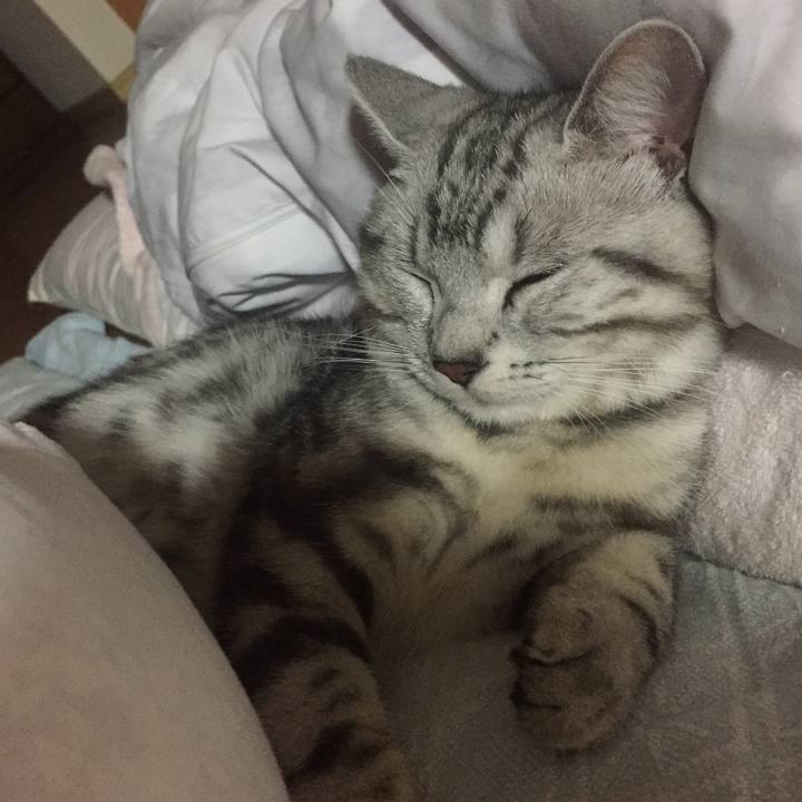 F59251bb f902 40b7 bf46 07d530f9f234