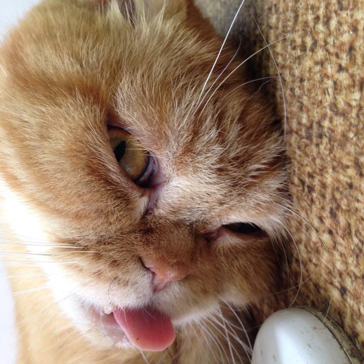 F592a1c0 ef2b 414c 8606 ace476fb707e