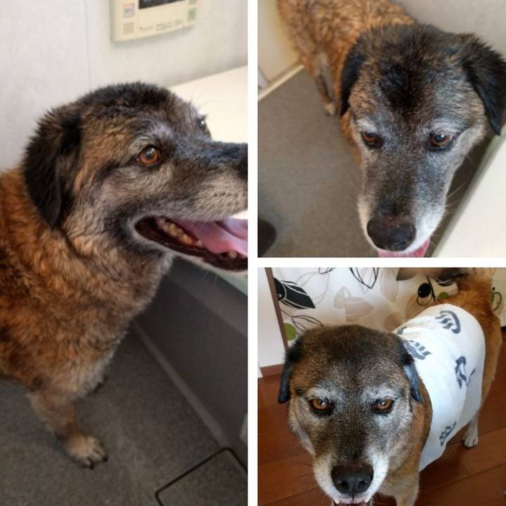 F592a8bc 393b 414b 886f 1fd4959cc4c9