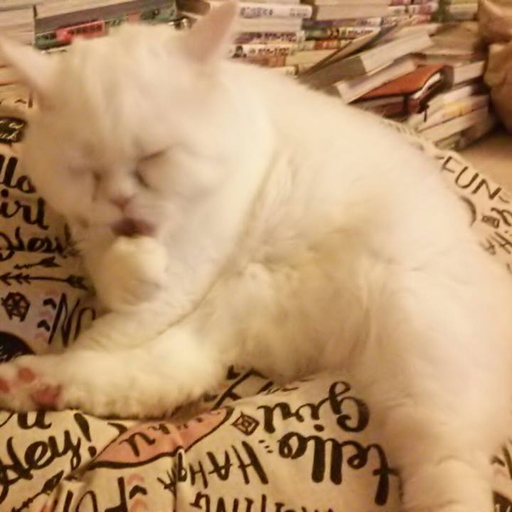 F592dc4a e8f0 4c79 87fc 00b70df2c116