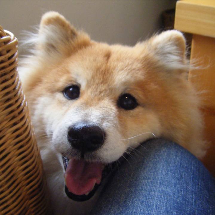 F593695d d8d0 44a0 ab7c c0a92f7b44f2