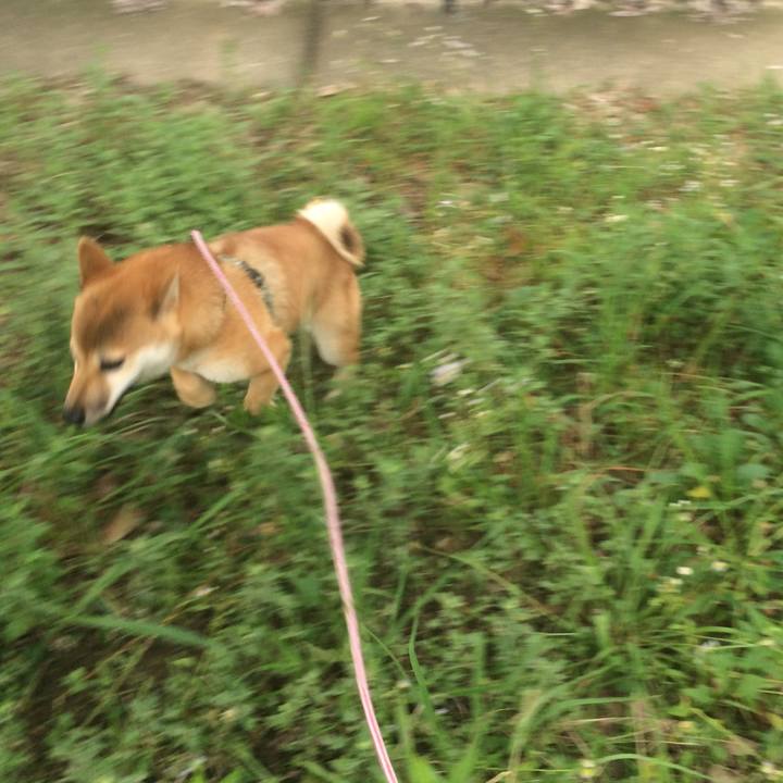 F5939f2c 2945 439c baa9 28b6f215f332