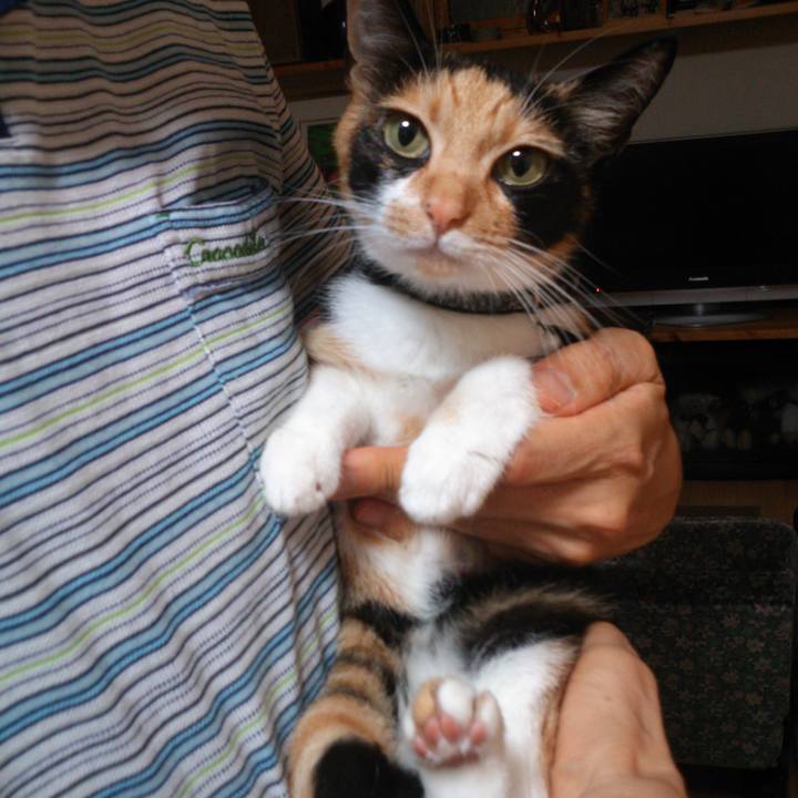 F5942906 b6c9 4f84 aa26 6b98d4a242a4