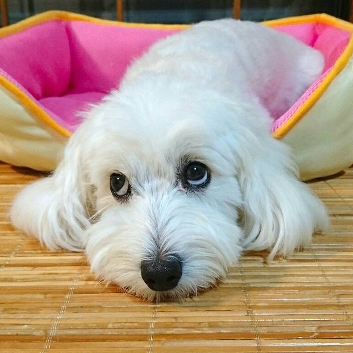 F59482ed b912 4875 8c53 4c6dbb73c2c3