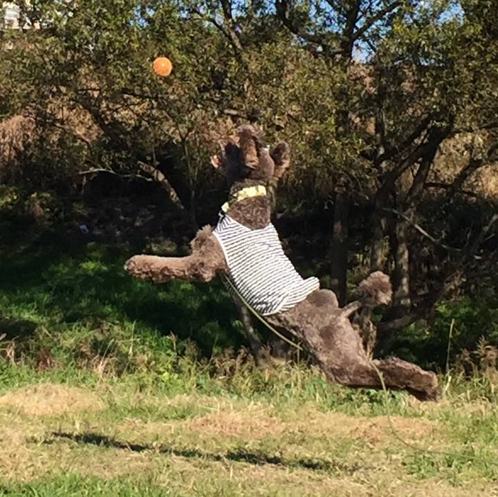 F594aac7 abda 480f a809 c497e3a066e1