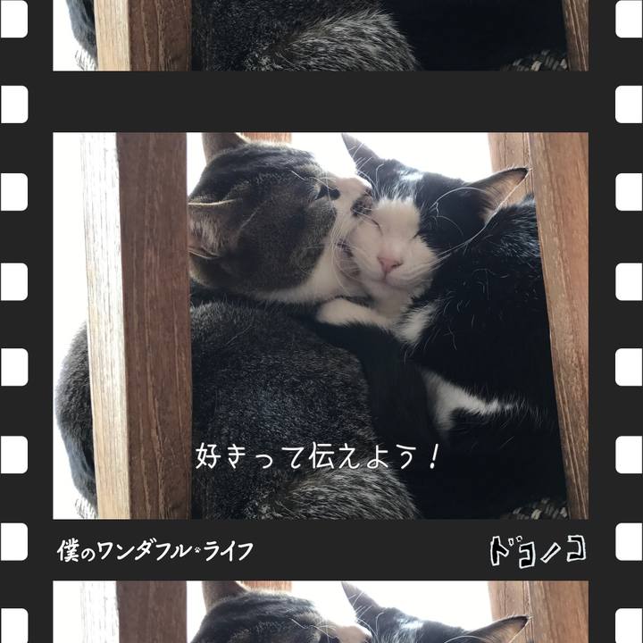 F5952787 f3cd 499c aa81 583df19db79f