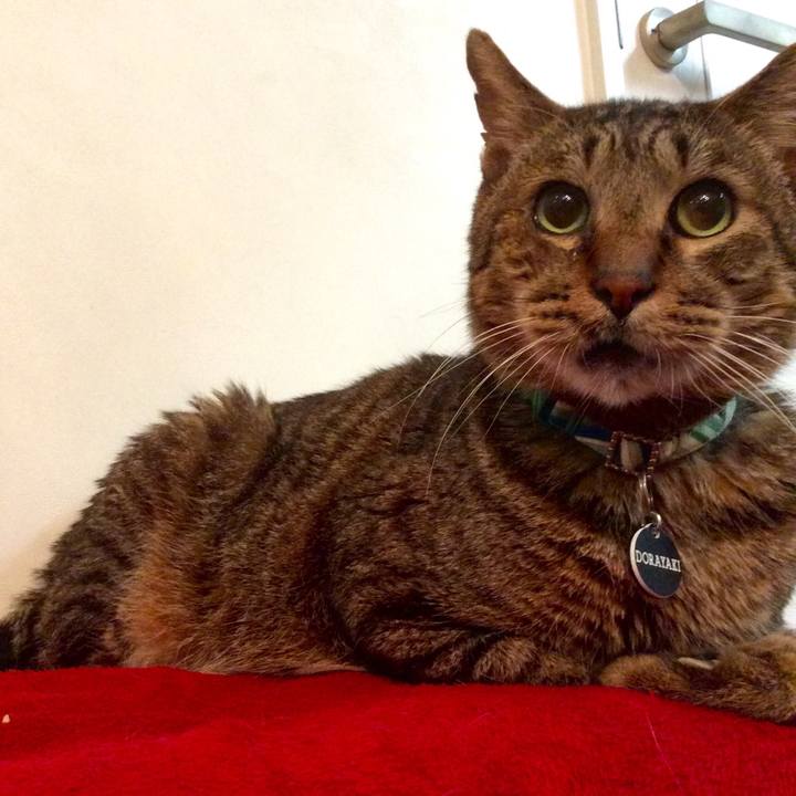 F595b113 30cb 48b4 aceb 9da4d2d7945e