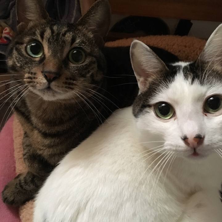 F595c260 280d 4ba9 87e8 cb56ab26a673