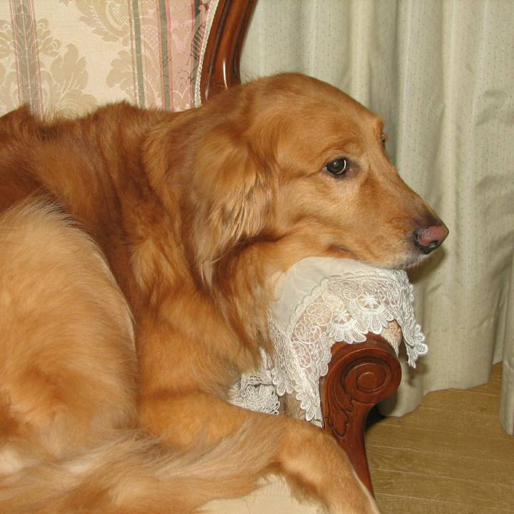 F595f07c 5a1a 4508 99e8 a5379e304a2b