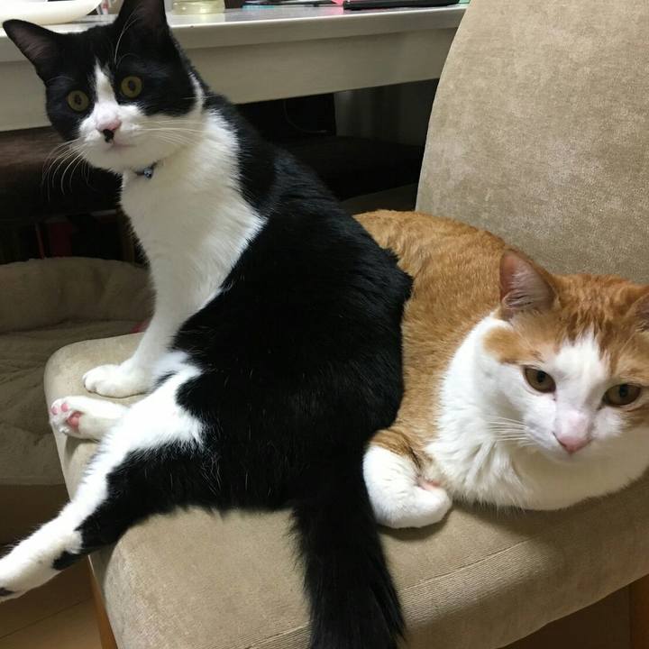 F59650b7 e02d 4f96 8c47 ef2af969b4a0